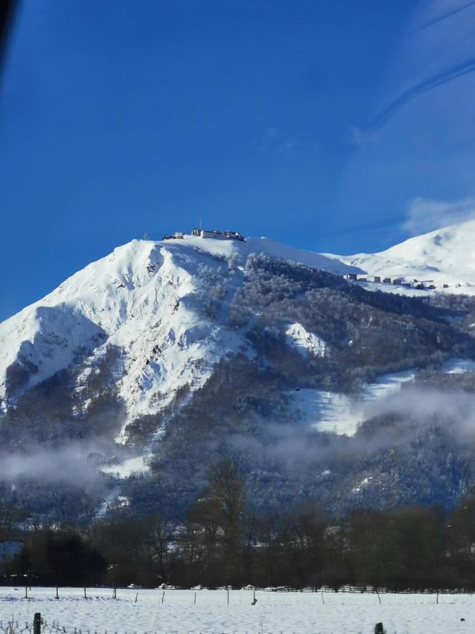 Appartement Au Pied Des Pistes Saint-Lary-Soulan Dış mekan fotoğraf
